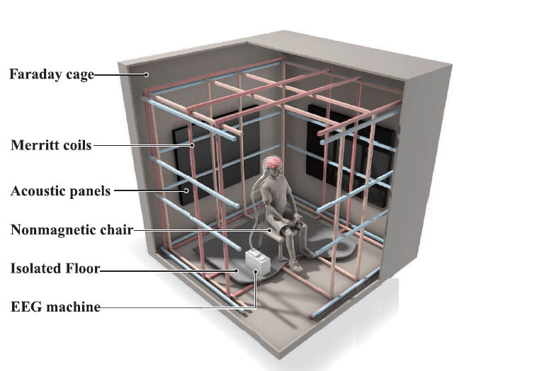 Wang et al schematic